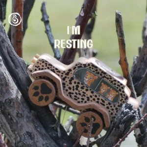 Child's hand on a wooden cheetah car with an orange durability banner.