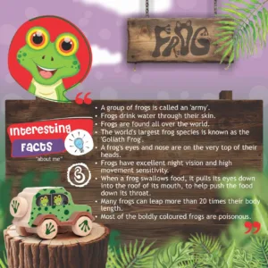 Green frog-themed wooden toy car with a width of 65mm and length of 132mm.