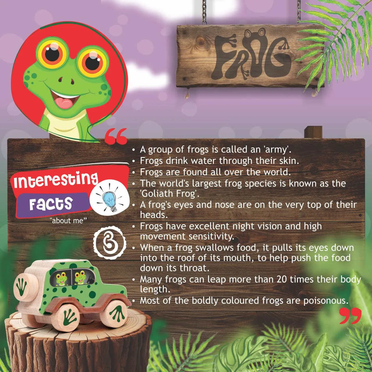 frog 08 Green frog-themed wooden toy car with a width of 65mm and length of 132mm.