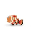 Clownfish